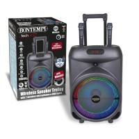 Karaoke con 2 Microfoni Wireless Trolley