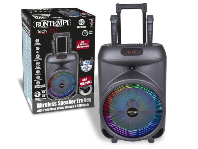 Karaoke con 2 Microfoni Wireless Trolley