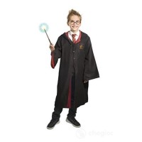 Costume Harry Potter