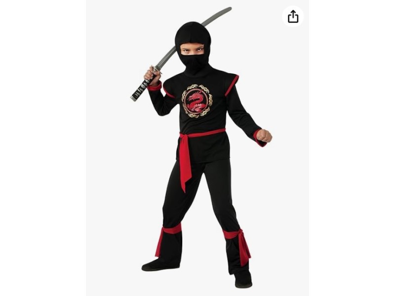 Costume Ninja Drago