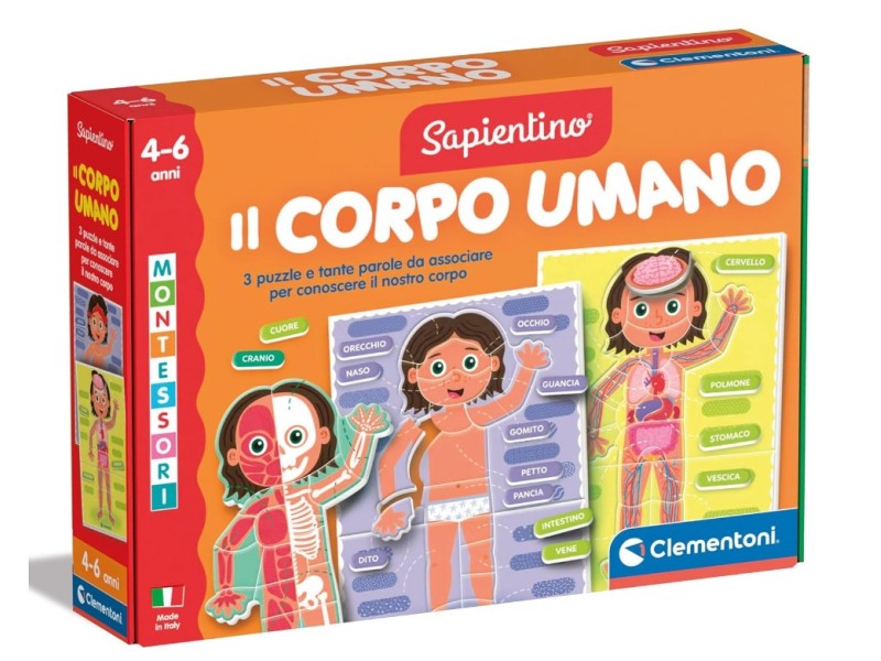 Sapientino il Corpo Umano Montessori